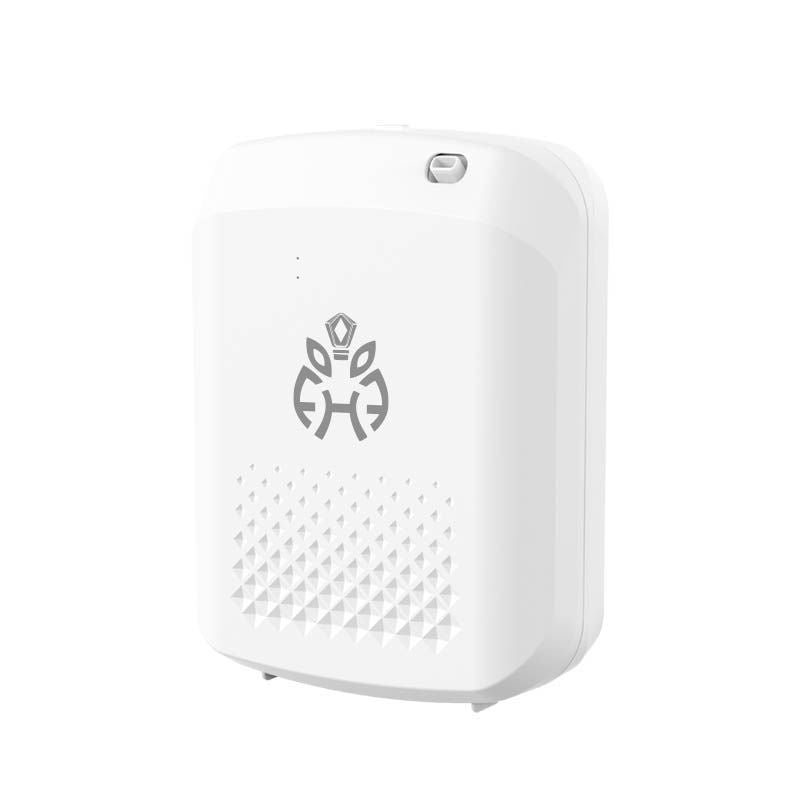 Small Home Diffuser 