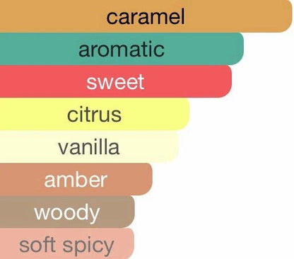 Stranger Pour Homme Eau De Parfum Masculine Fragrance For Men 100 ML